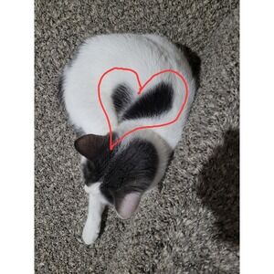 Look at all these hearts!